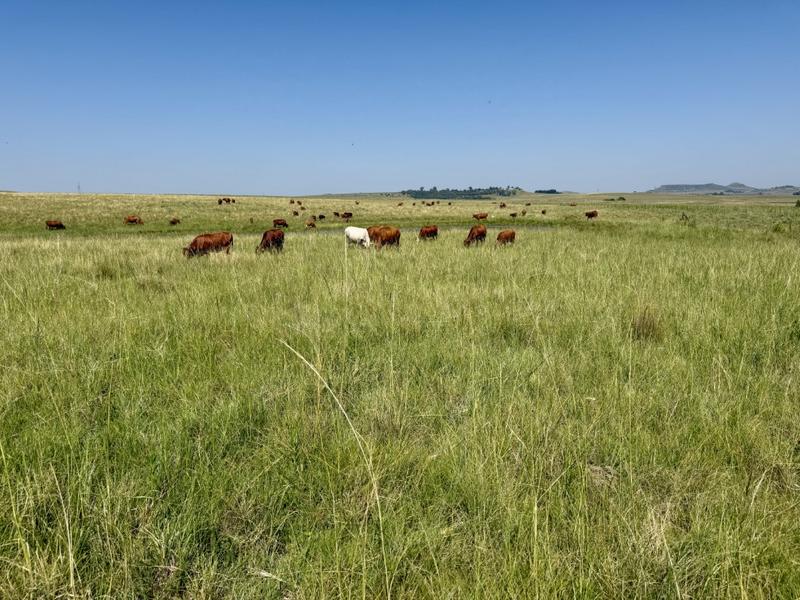 0 Bedroom Property for Sale in Bethlehem Rural Free State